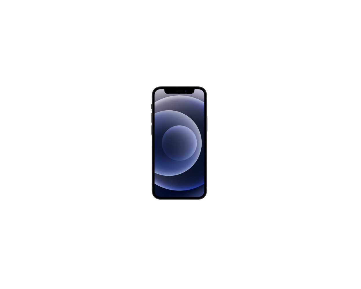 Zwart 128GB 12 Apple iPhone Mini